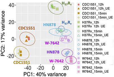 Exposure of Mycobacterium tuberculosis to human alveolar lining fluid shows temporal and strain-specific adaptation to the lung environment